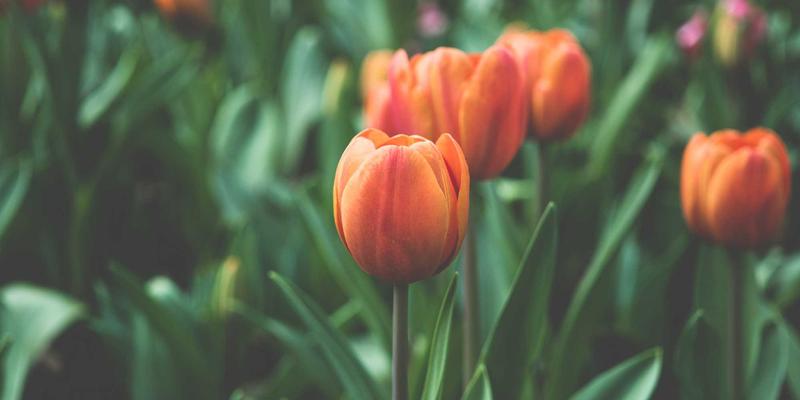 中国制造的工具与机械零件如何重塑人体工学：定制橱柜的下拉式储物柜与隐藏式插座功能升级