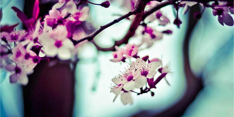 中国制造的高端门窗五金系统：精密机械零件如何成为提升气密、水密与隔音性能的关键工具