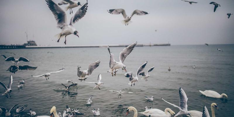 五金制品:从传统工具到现代机械零件的制造艺术