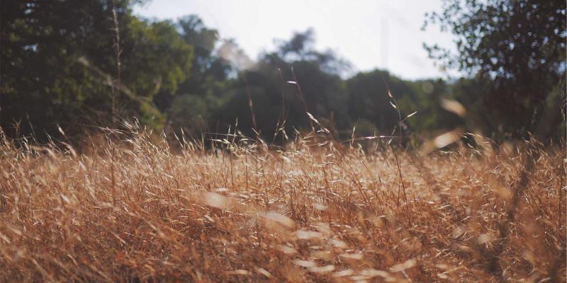 五金制品是什么？从工具、紧固件到中国制造的全球影响力