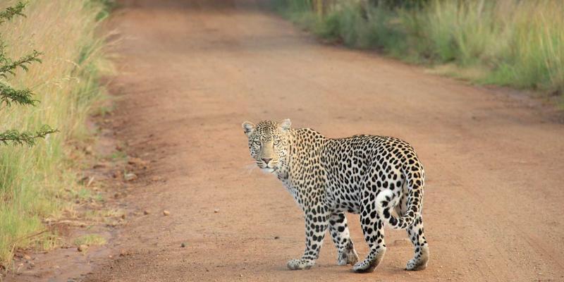 从工具到机械零件:五金制品如何成为现代工业的基石