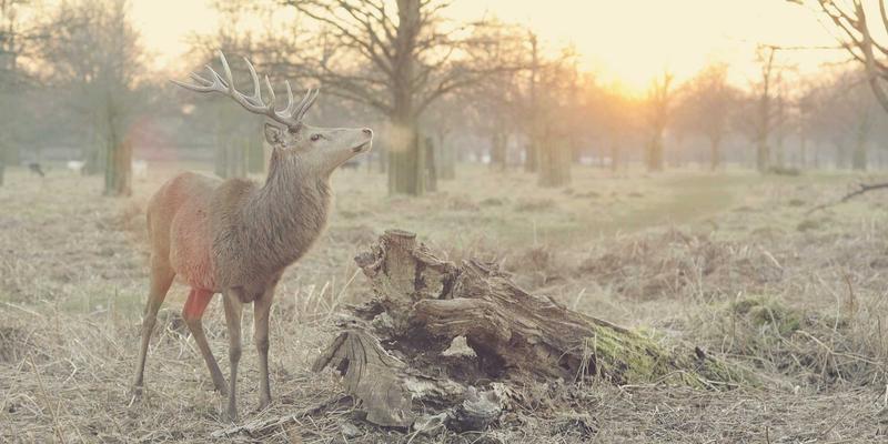 从精密机械零件看中国制造的五金制品升级之路
