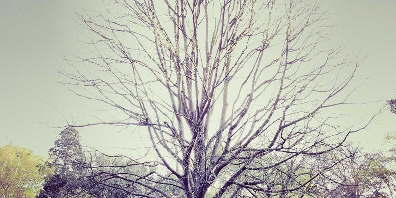 汽车专用五金件标准深度解析：发动机、底盘与车身紧固件的特殊要求